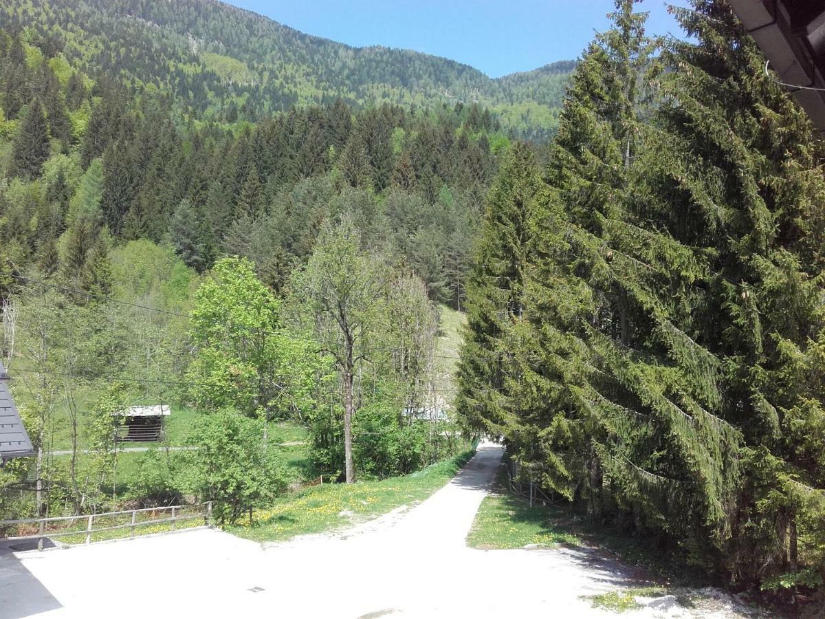 Klass 203 Kranjska Gora Eksteriør billede